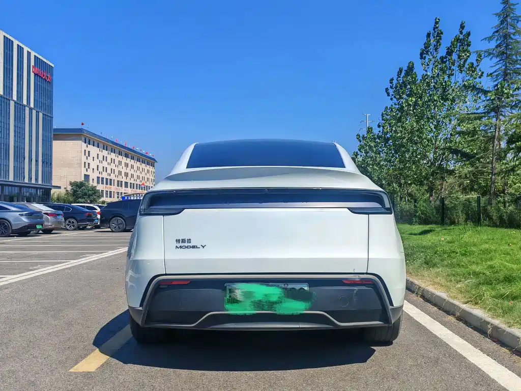 Tesla Model Y — миниатюра 8