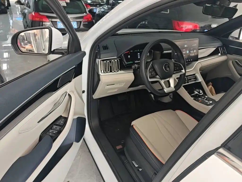 BYD PLUS New Energy — миниатюра 16