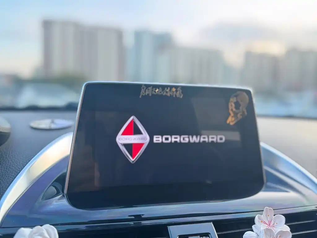 Borgward BX5 — миниатюра 16