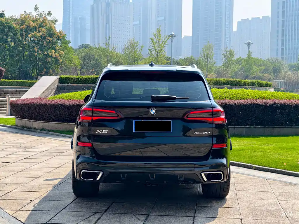 BMW X5 (Import) — миниатюра 17