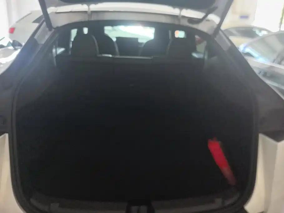 Tesla Model Y — миниатюра 4