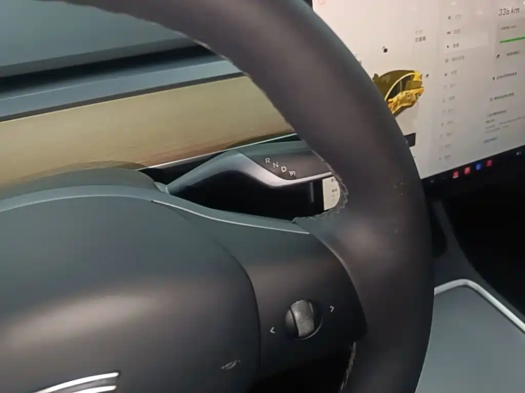 Tesla Model 3 — миниатюра 14