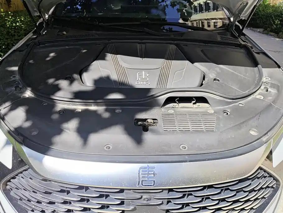 BYD Tang New Energy — миниатюра 10