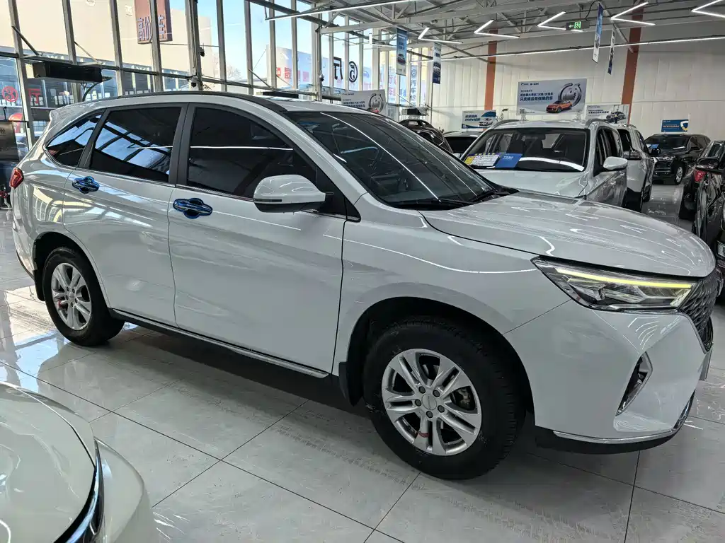HAVAL M6