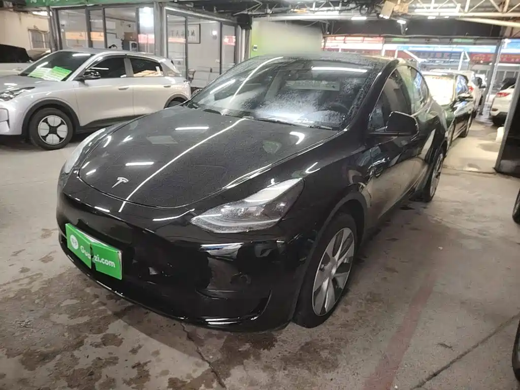 Tesla Model Y — миниатюра 2