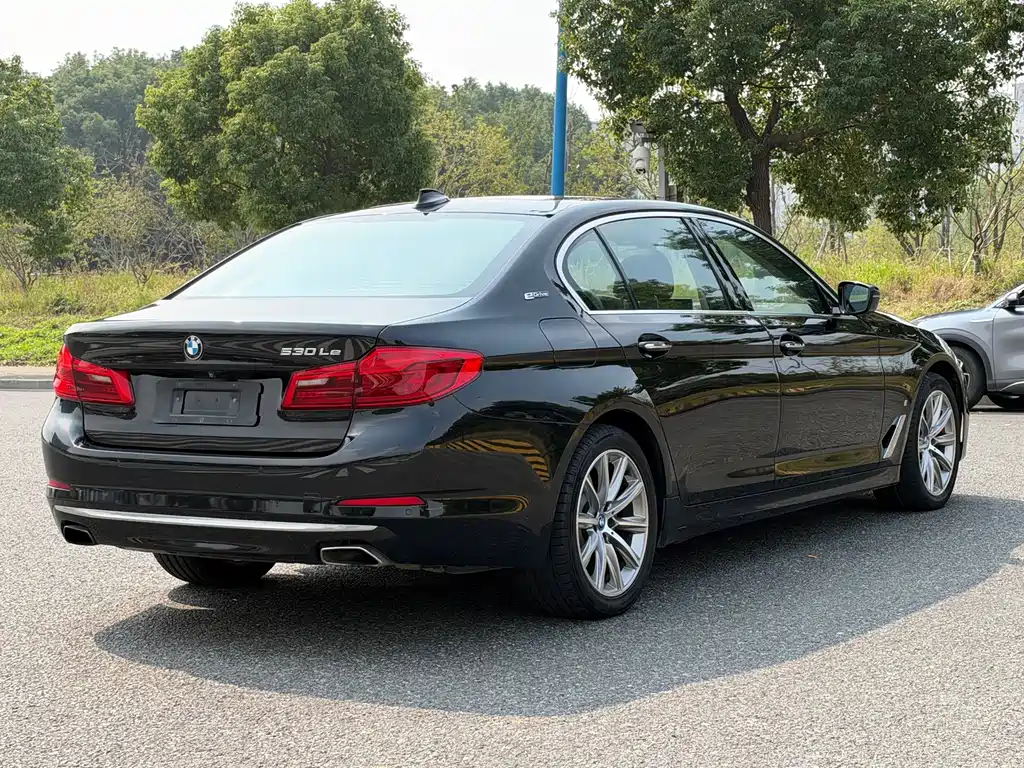 BMW 5 Series New Energy — миниатюра 5
