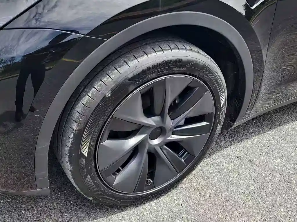 Tesla Model Y — миниатюра 18