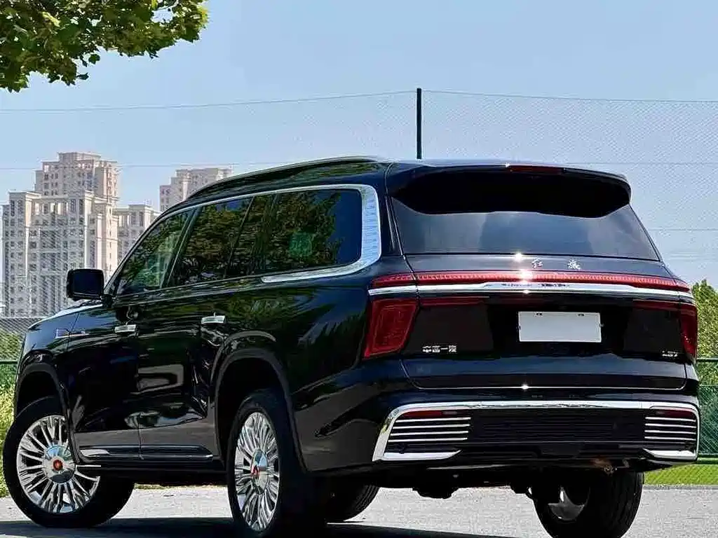Hongqi Hongqi Golden Sunflower Guoyao — миниатюра 6