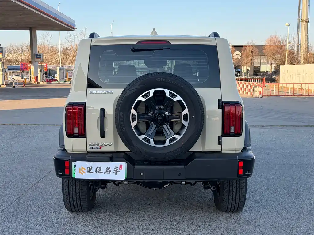 TANK TANK 300 NEW ENERGY