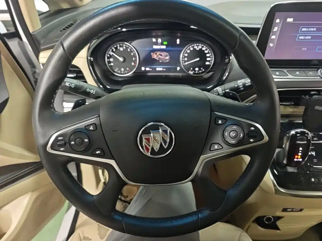 Buick GL8 — миниатюра 11