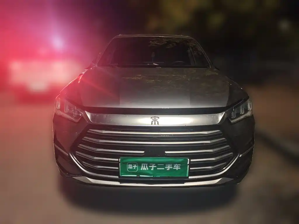 BYD Pro New Energy — миниатюра 2