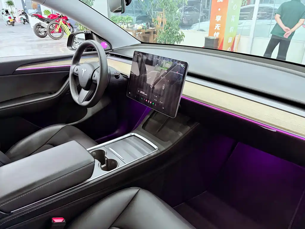 Tesla Model Y — миниатюра 18