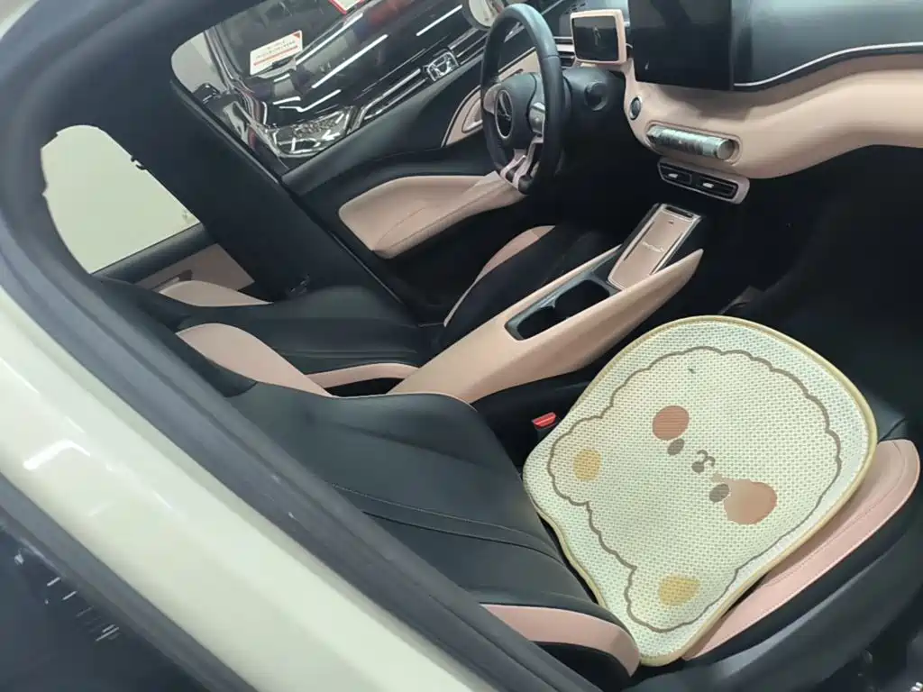 BYD Seagull — миниатюра 25