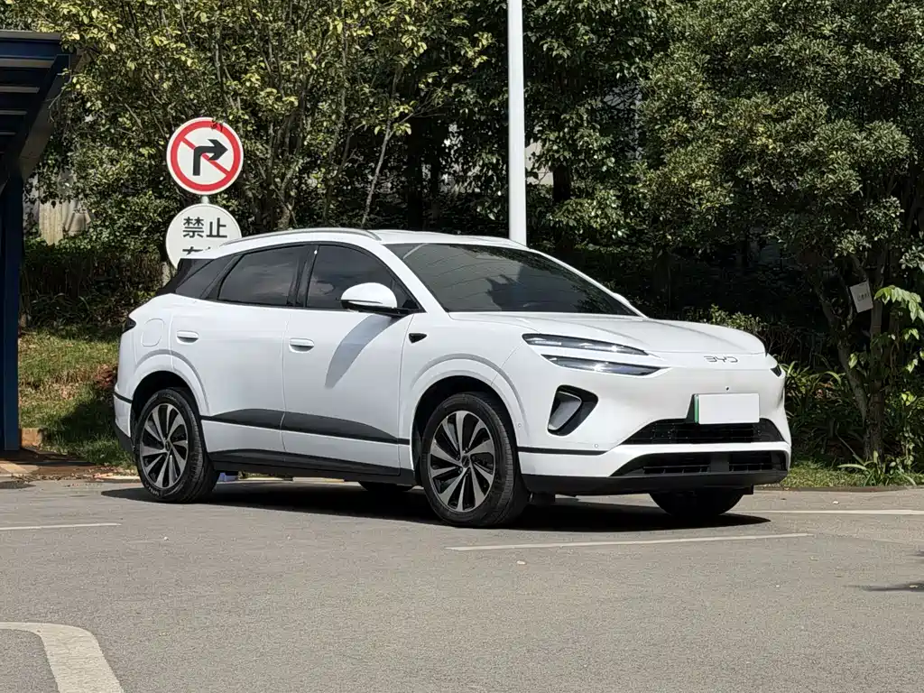 BYD Sealion 06 — миниатюра 6