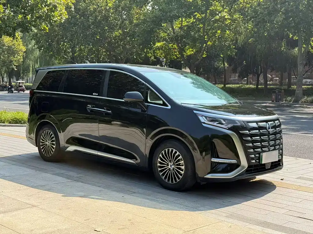Denza Denza D9 — миниатюра 2