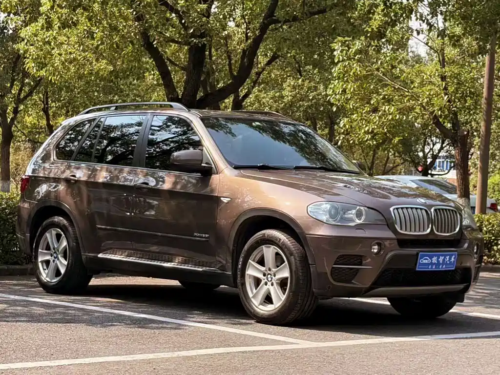 BMW X5 (Import) — миниатюра 3