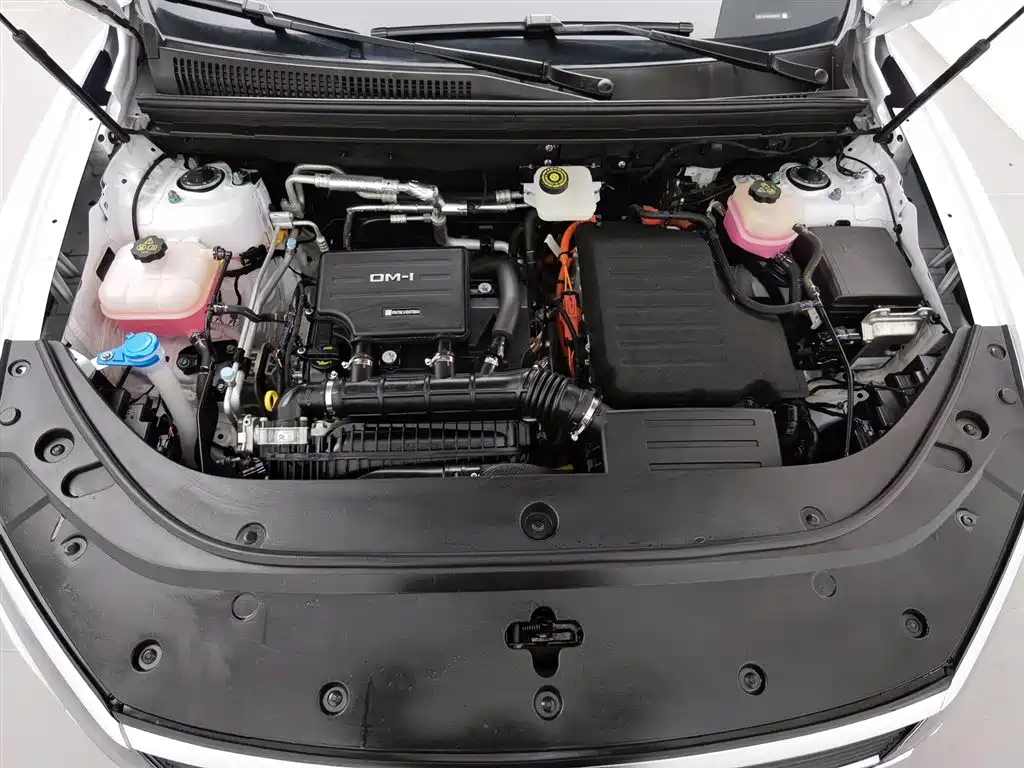 BYD SEA LION 05 DM I