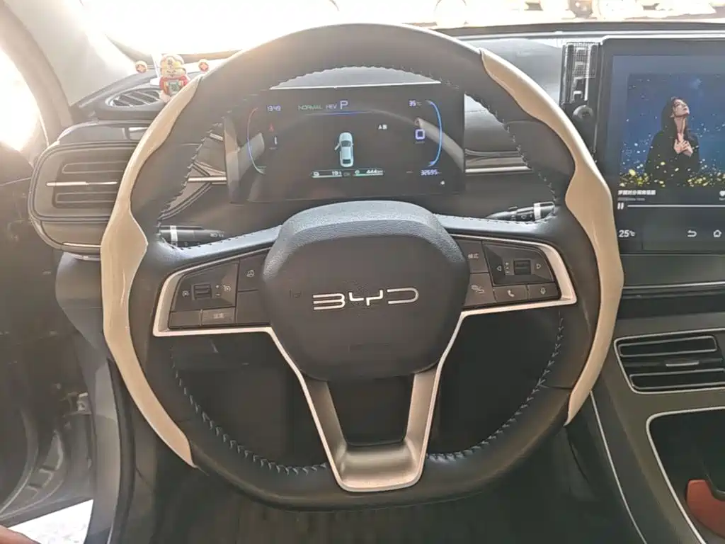 BYD Destroyer 05 — миниатюра 11