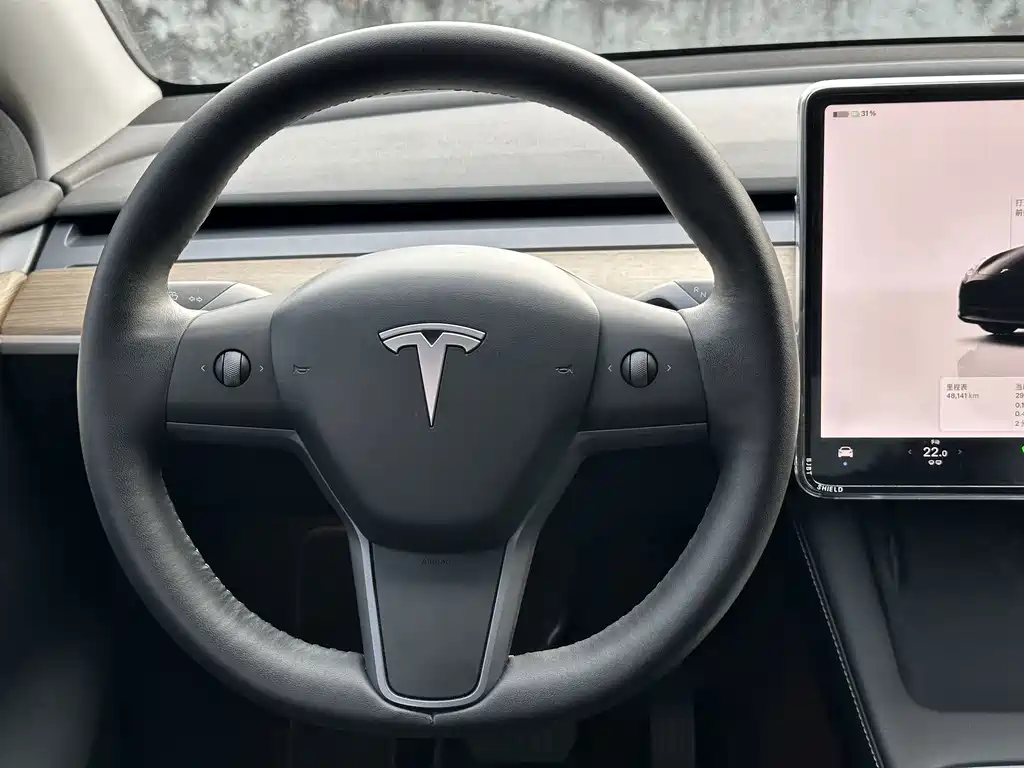 Tesla Model Y — миниатюра 12