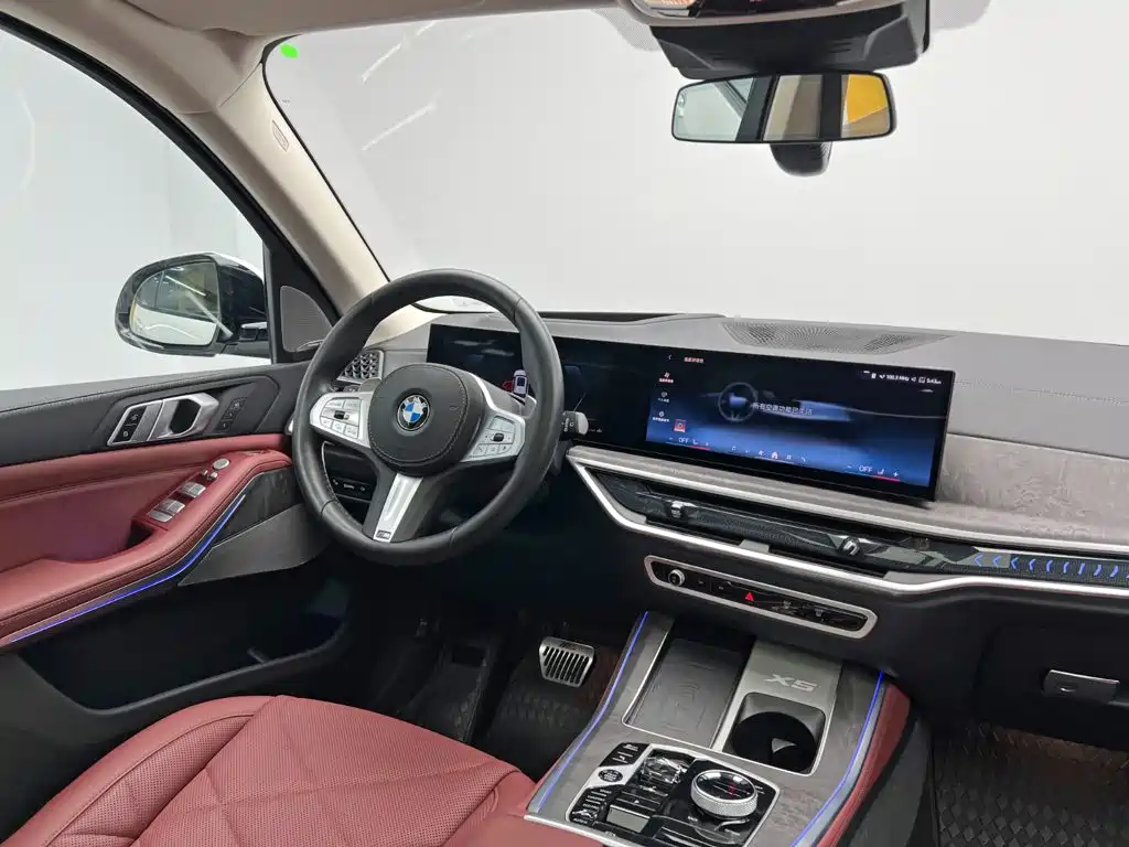 BMW X5 — миниатюра 24
