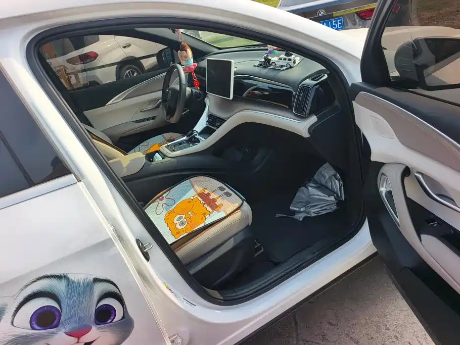 BYD Pro New Energy — миниатюра 8
