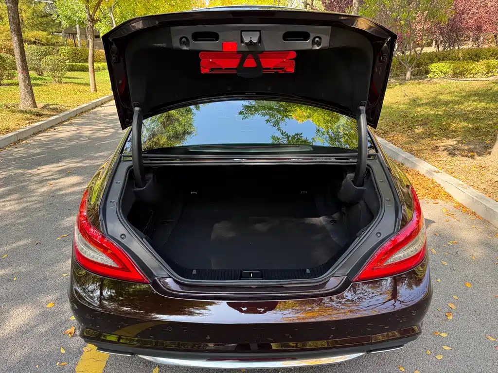 Mercedes-Benz CLS — миниатюра 30