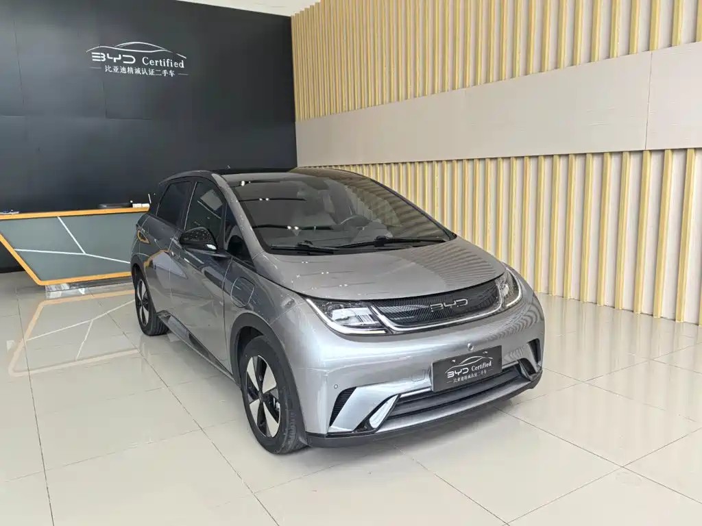 BYD Dolphin — миниатюра 3