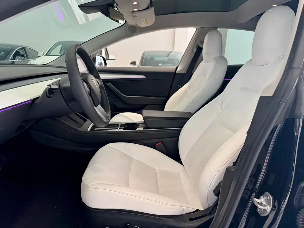 Tesla Model 3 — миниатюра 5