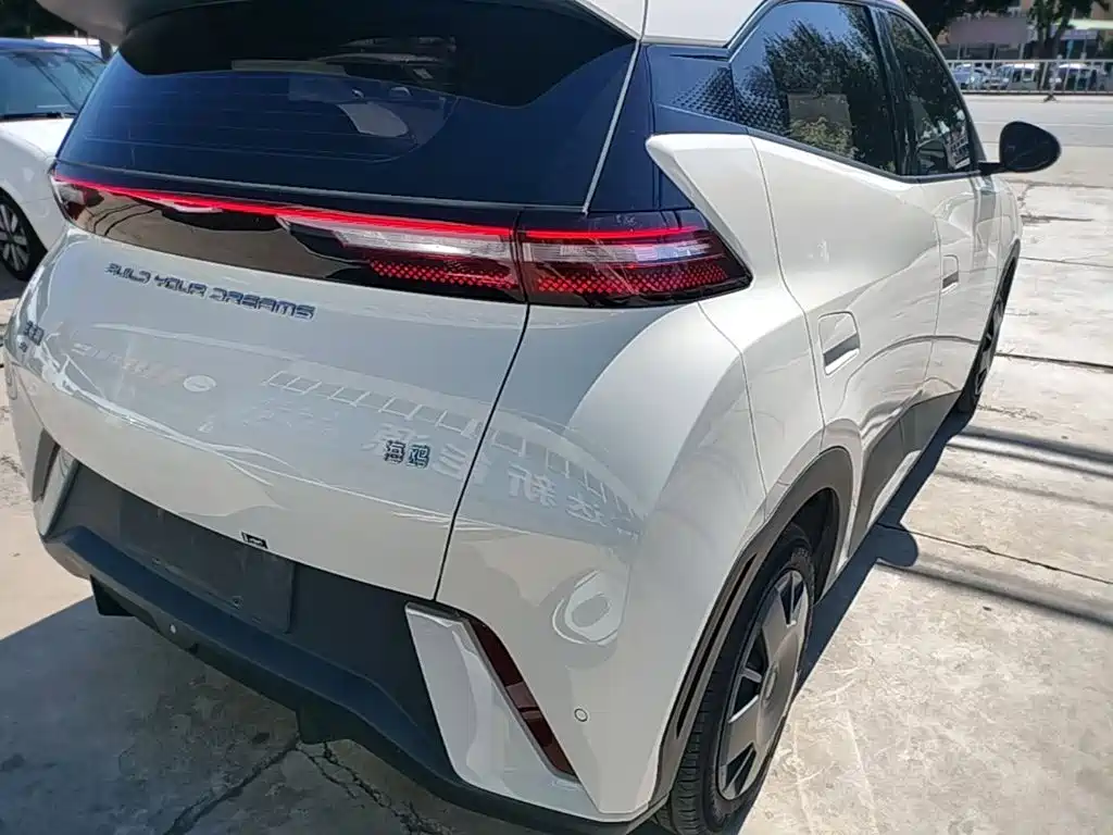 BYD Seagull 2024 305km