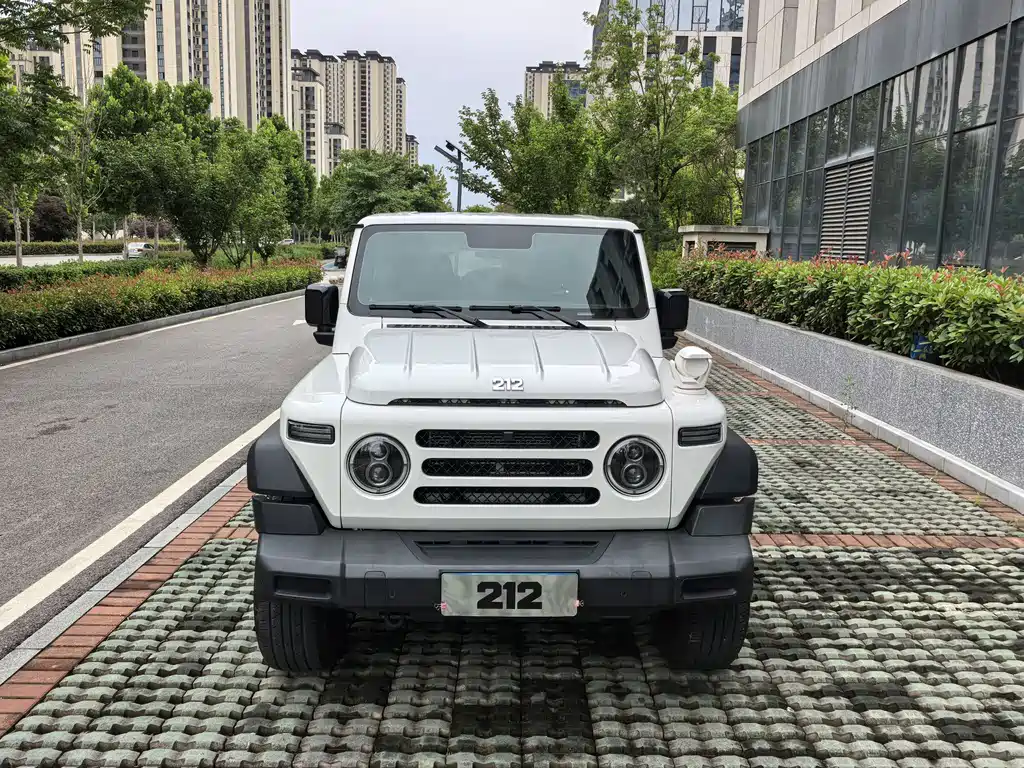 212 T01 2.0T Mechanic, фото 2