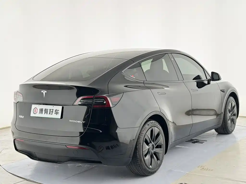 Tesla Model Y — миниатюра 10