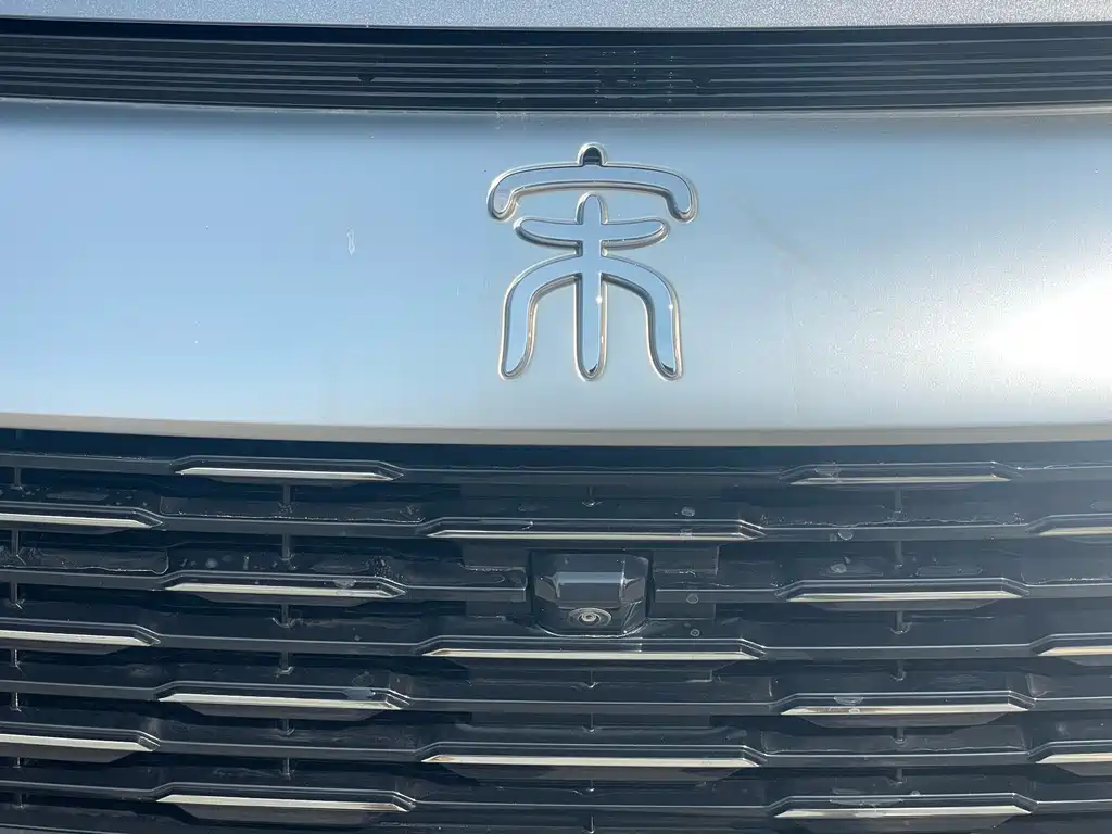 BYD Pro New Energy — миниатюра 4