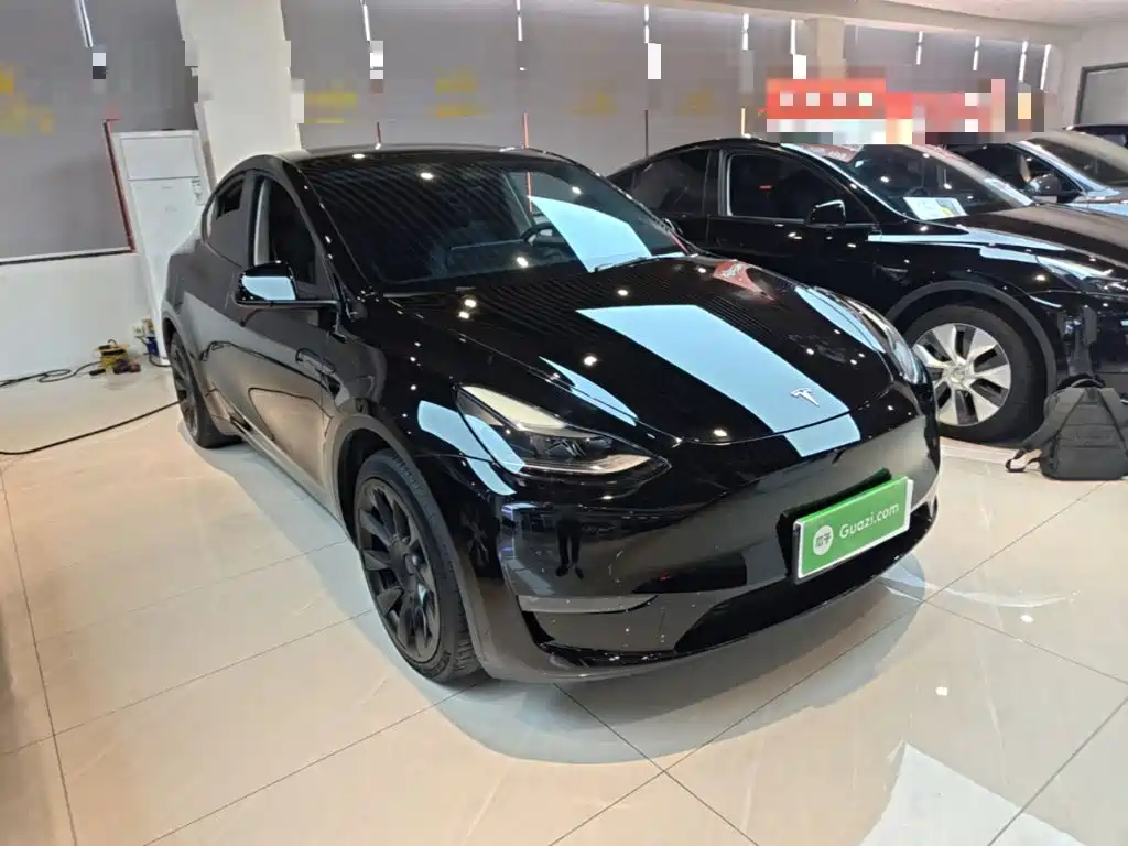 Tesla Model Y — миниатюра 4