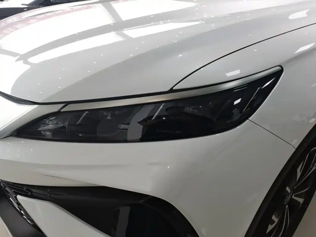 BYD Pro New Energy — миниатюра 24