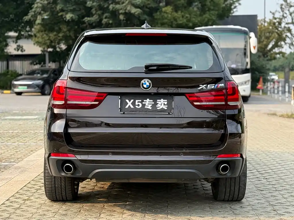 BMW X5 (Import) — миниатюра 5