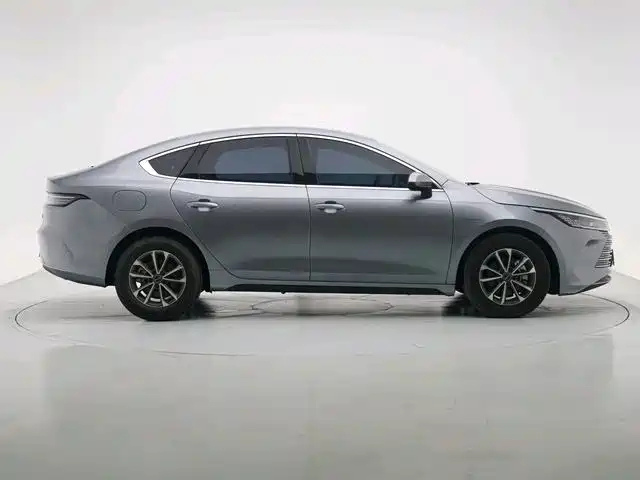 BYD Destroyer 05 2024 DM-i 55KM Luxury