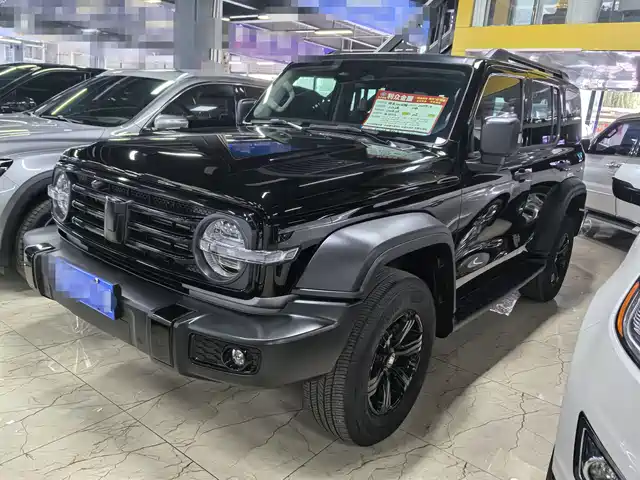 2024 TANK 300