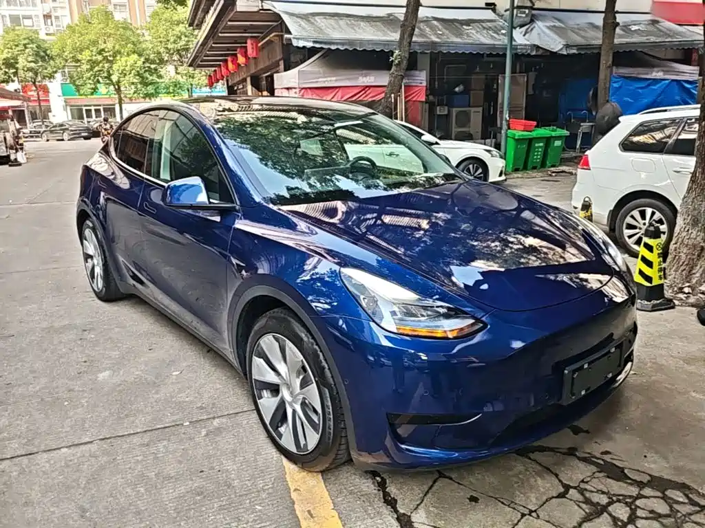 Tesla Model Y — миниатюра 4