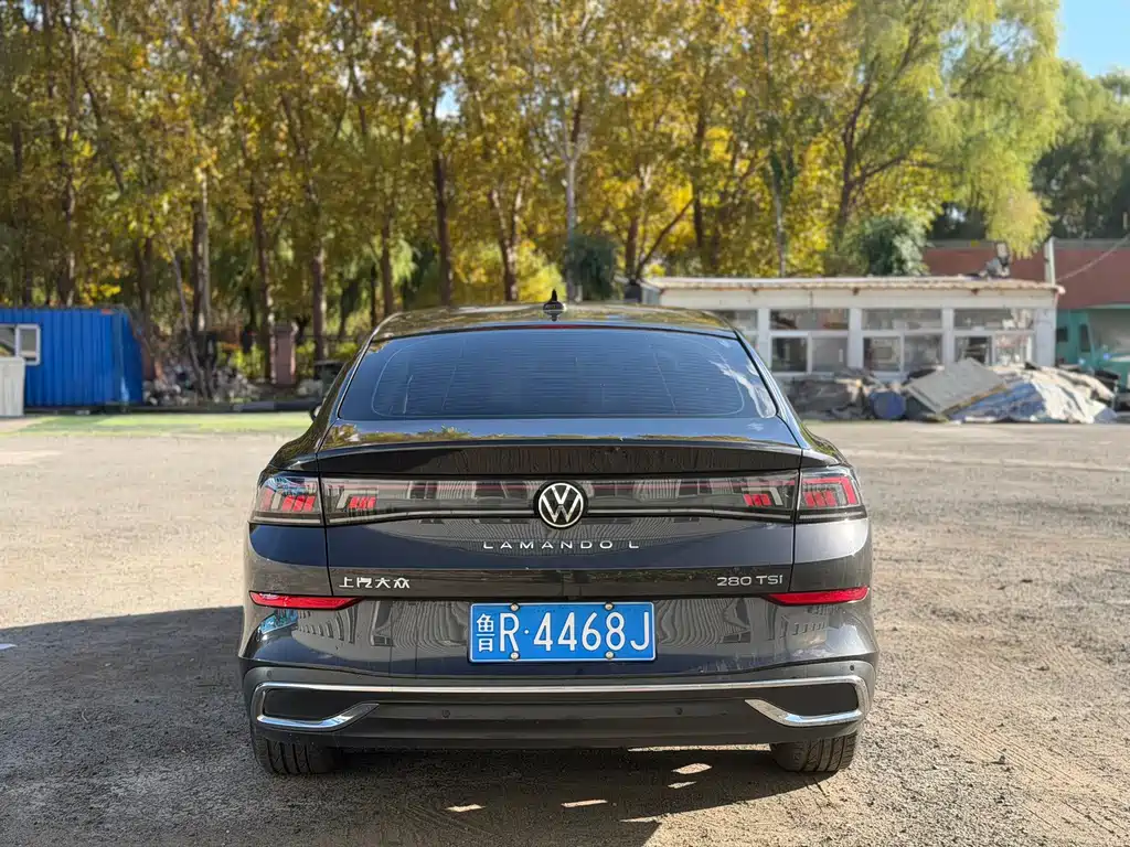 Volkswagen Lamando — миниатюра 5