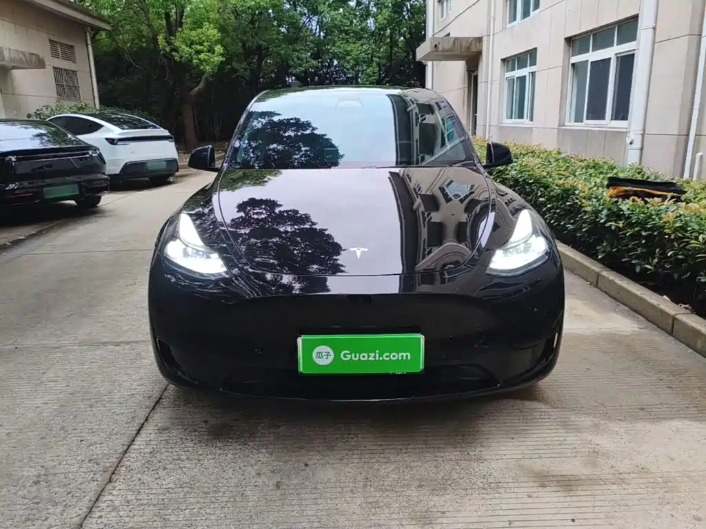 Tesla Model Y — миниатюра 3