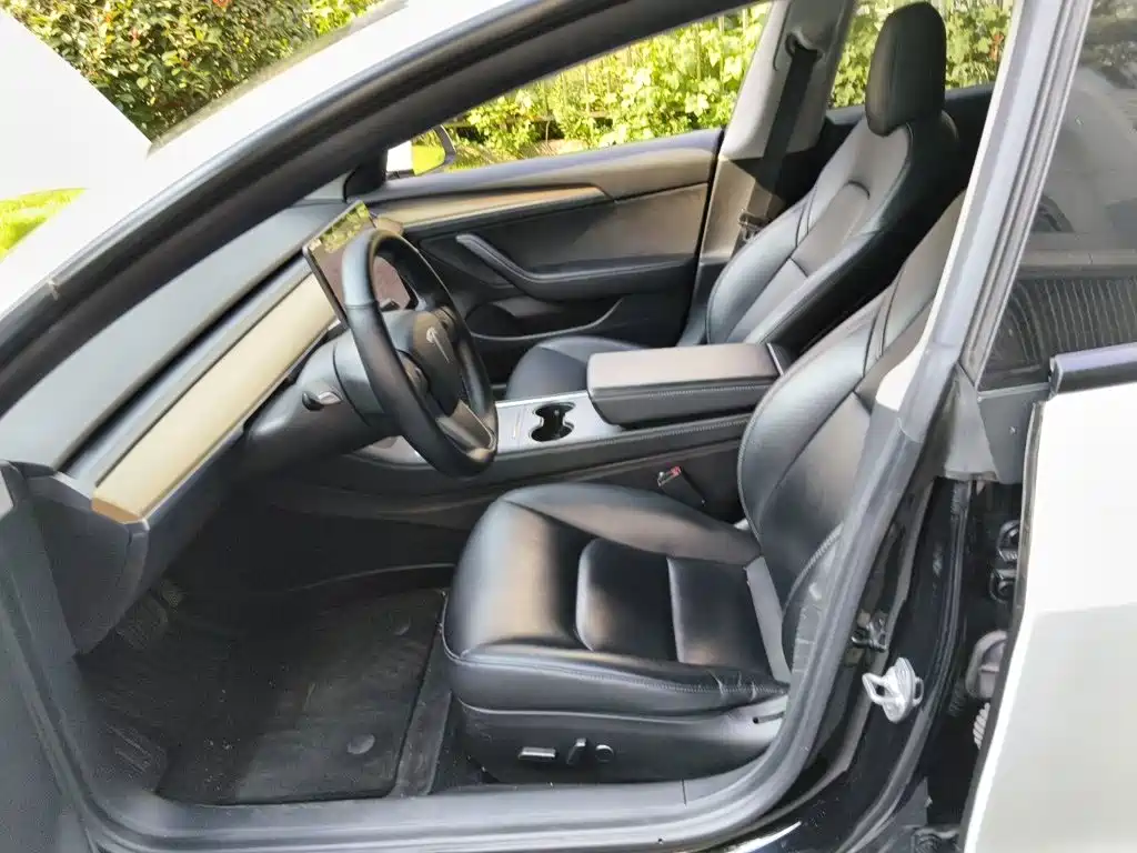 Tesla Model 3 — миниатюра 11