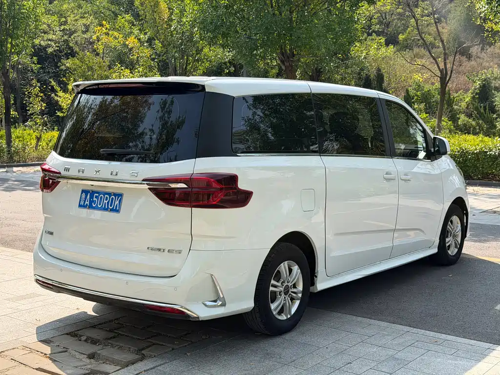 MAXUS G20 — миниатюра 6