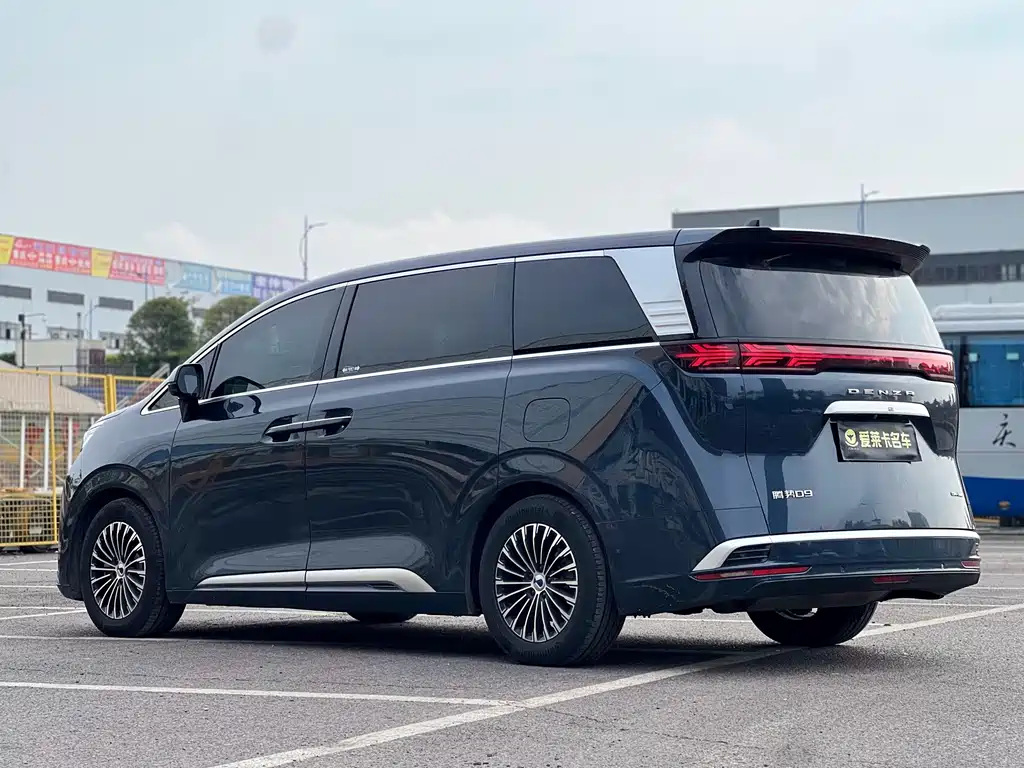 Denza Denza D9 — миниатюра 4