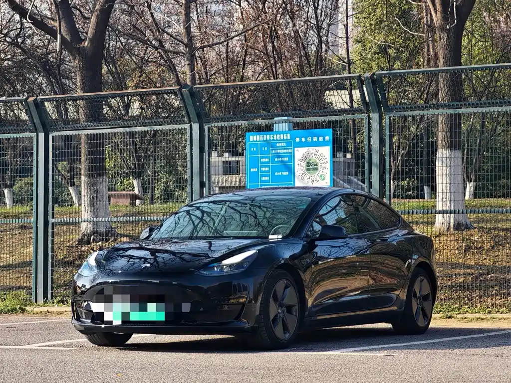Tesla Model 3 2021
