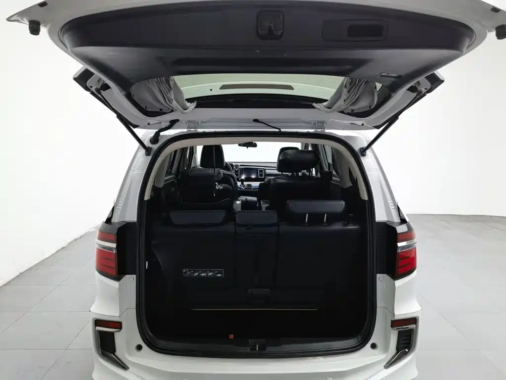Honda Elysion — миниатюра 16