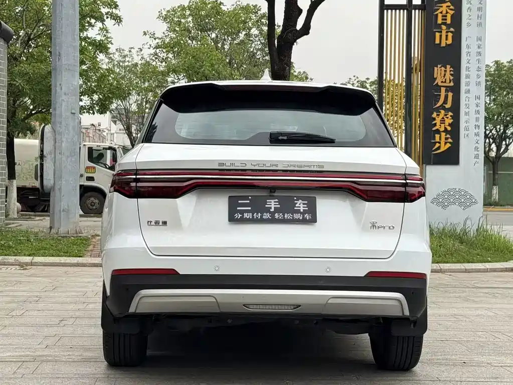 BYD Pro — миниатюра 6