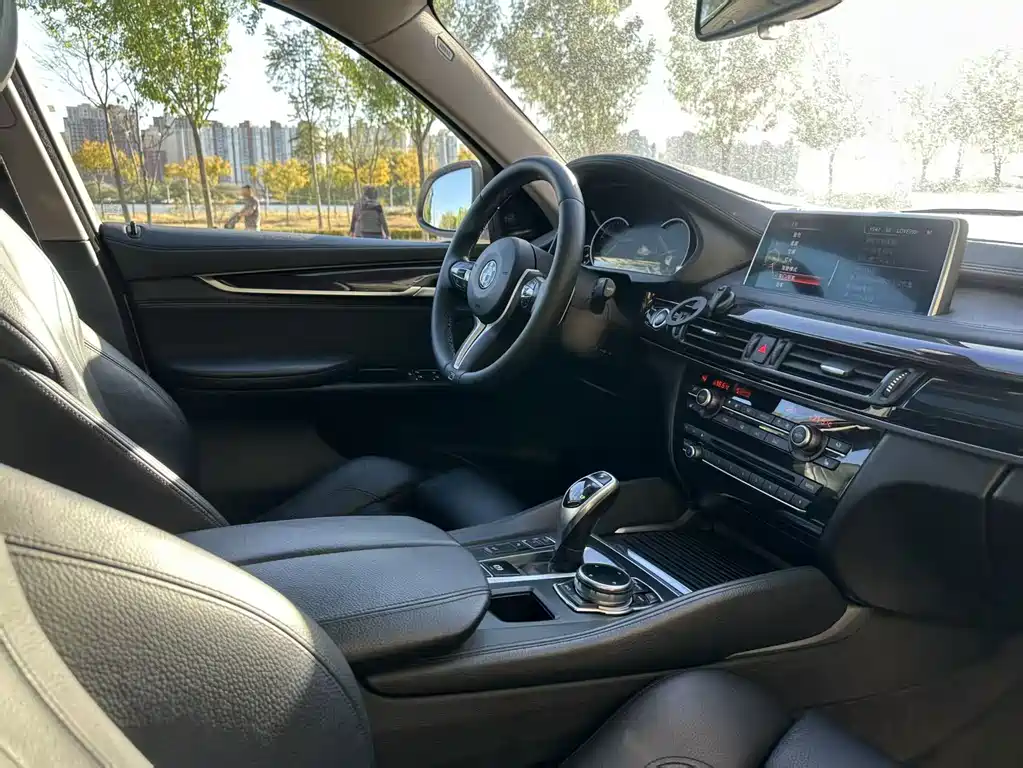 BMW X6 — миниатюра 31