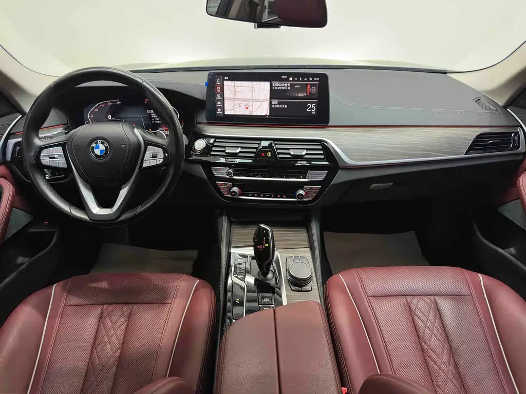 BMW 5 Series 5 2021 530Li Lead Luxury