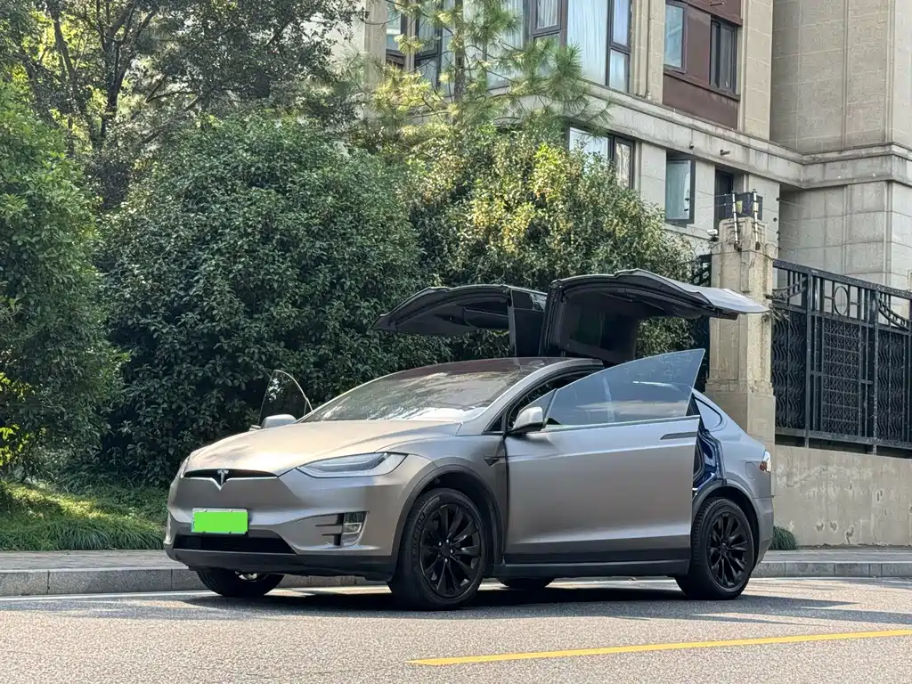 Tesla Model X — миниатюра 2