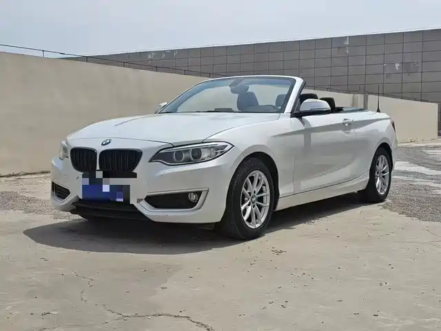 BMW  2 SERIES 2018